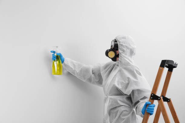  Garland, NC Mold Removal Services Pros